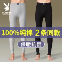花花公子秋裤男薄款纯棉裤毛裤衬裤男士打底裤秋冬保暖裤线裤单件
