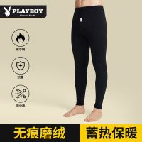 花花公子卫生裤男款纯棉保暖裤男士春秋打底全棉内搭裤薄款毛线 线裤冬季