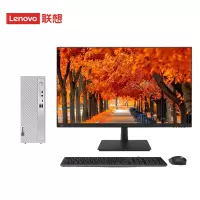 联想(Lenovo)天逸510S 个人商务台式机电脑整机 定制(i5-14400 16G 1TB机械+512G SSD wifi6 win11 键鼠 三年上门)配27英寸显示器