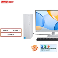 联想(Lenovo)小新台式机电脑整机(酷睿i5-13420H 16G内存 1T高速大容量固态硬盘 Win11 正版office)配23.8英寸显示器