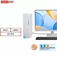 联想(Lenovo)小新台式机电脑整机(酷睿i5-13420H 16G内存 1T高速大容量固态硬盘 Win11 正版office)配23.8英寸显示器