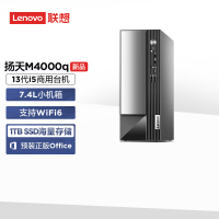 联想(Lenovo)扬天M4000q 商用台式机电脑主机 定制(i5-13400 16G 1T+512G固态 SSD wifi Win11)
