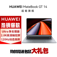 华为MateBook GT 14 14.2英寸笔记本电脑 酷睿 Ultra9 185H 32G 2TB 2.8K OLED悬浮触控手写屏 轻薄机身 皓月银