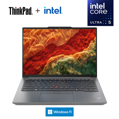 ThinkPad E14 1CCD AI 2024 经典商务本 14英寸笔记本电脑 定制 英特尔酷睿Ultra 5 125H 16G 2T固态 锐炫Arc显卡 2.2K高色域 银