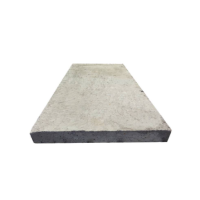 硕臻 白色外膜 GTC-80 个