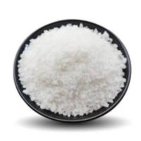 硕臻 珍珠岩 20-30目 千克