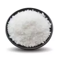 硕臻 珍珠岩 20-30目 千克