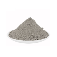 硕臻 水泥 42.5 袋