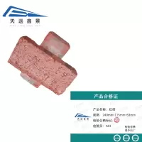 天远鑫景 红砖 240mm*115mm*53mm 块