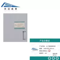 天远鑫景 九门铁制更衣柜 高1800*宽900*深390mm 个