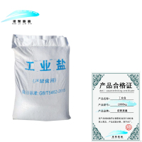 诺聚嘉鑫工业盐 1000kg 吨