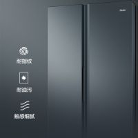海尔BCD-616WGHSSEDC9对开门家用大容量风冷无霜变频超薄一级冰箱