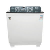 小鸭双缸洗衣机XPB100-3100S
