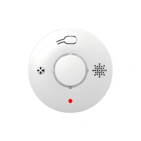 PGST 烟雾报警器 烟感 4G远程版 含三年流量卡可远程提醒 PG-S01 个