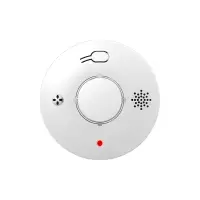 PGST 烟雾报警器 PG-S01 个