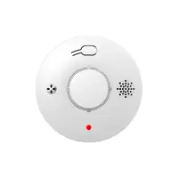 PGST 烟雾报警器 PG-S01 个