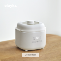 olayks立时日韩电炖锅宝宝辅食锅燕窝煮粥小炖盅隔水炖盅家用