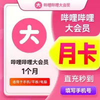 [直充]哔哩哔哩大会员月卡