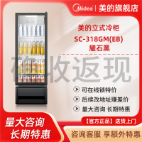 SC-318GM(EB) 耀石黑