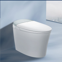 [恒洁HEGII] 全智能马桶HCE750A01-JS 0压静音冲 智能除异味 抗菌座圈 舒适洗 暖风烘干