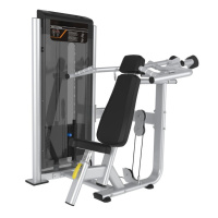 舜灏SH-ZYZ-003 肩部推举训练器（单位：台）