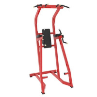 舜灏SH-EM963 单双杠及提腿腹肌组合练习架（单位：台）