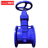 爱新优 软密封法兰闸阀 Z45X-16Q DN300(个)