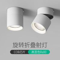 玖纹豹免打孔吸顶灯