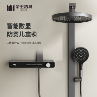 帝王洁具12英寸超大顶喷/8功能手持花洒/方形大视觉淋浴管/超大置物平台(38*16CM)/常规或恒温花洒TC24008
