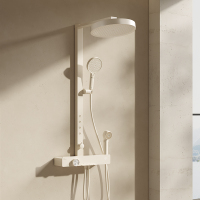 帝王洁具12.7英寸大顶喷+背喷TC24034双色花洒