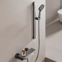 维纳斯贵族卫浴3019花洒,简易分体式花洒,升降手持花洒,分体式简约设计,手持花洒,极简无级升降杆