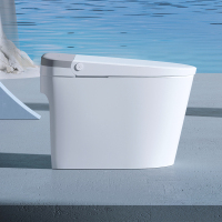 帝王洁具轻智能马桶TA065