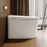 帝王洁具停电冲水+用户记忆TA057智能马桶