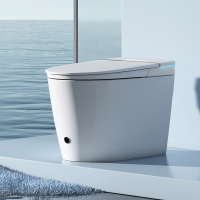 帝王洁具低水箱增压泵带泡沫盾TA046全智能马桶