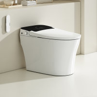 帝王洁具全功能+停电冲水+夜灯TA035智能马桶