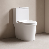 帝王洁具小户型现代简约风TT047陶瓷马桶