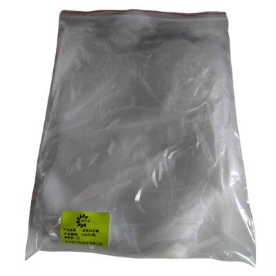 利可莉一次性PE手套100只/包