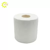 利可莉 卷纸 100g 卷