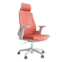 臻远 ZY-6619 办公椅转椅家用网面电脑椅学习书房座椅电竞游戏椅白胶