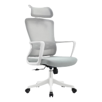 臻远 ZY-6631 办公椅转椅电脑椅电竞椅人体工学网布椅学习椅黑胶