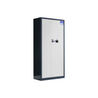 相威办公柜财务档案柜文件柜办公室资料储物柜保险柜通体灰框白门-指纹锁