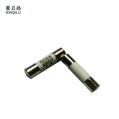 馨启路 陶瓷熔芯保险管 R054 5*20/1A 个