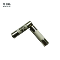 馨启路 陶瓷熔芯保险管 R054 5*20/6A 个