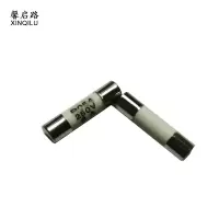 馨启路 陶瓷熔芯保险管 R054 5*20/8A 个