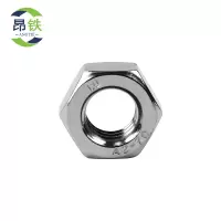 昂铁 不锈钢六角螺母 M10 个