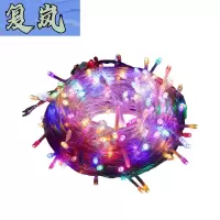 复岚 彩灯 100m/条