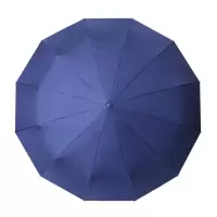 一卜全自动伞12骨S03 /把