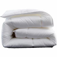 亚博娜 全棉羽丝绒被芯 AH-800 2000*2350mm 床