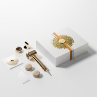 追觅吹风机韶光G20Pro护发3亿负离子高速家用吹风机大功率官翻机 韶光PRO星光金