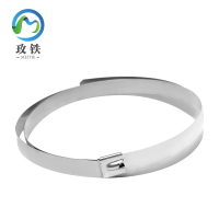 玫铁 自锁式不锈钢扎带 19*1600mm 条